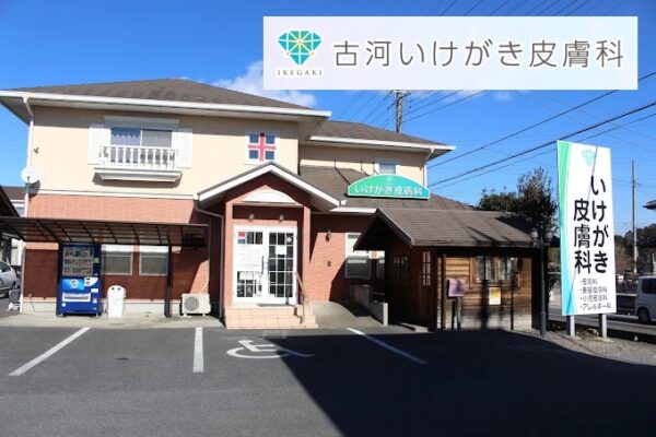 茨城古河いけがき皮膚科