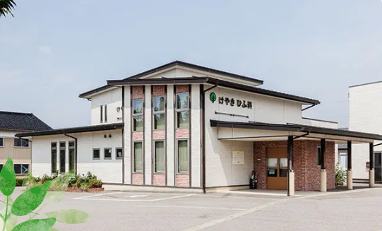 富山けやきひふ科